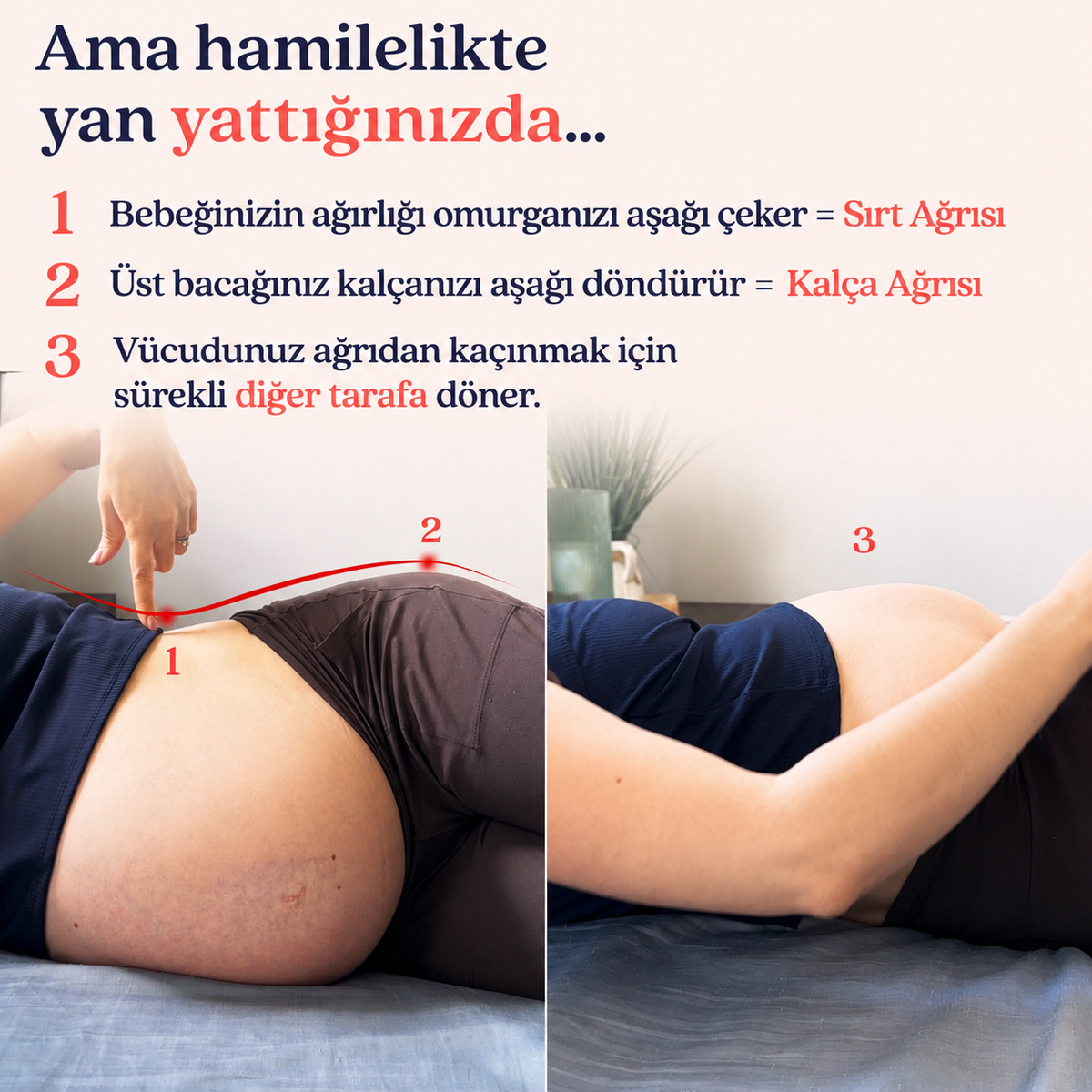 Zenovia Hamile Uyku Yastığı